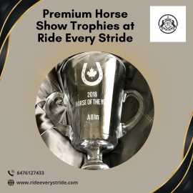 Premium Horse Show Trophies at Ride Every Stride, Rockwood