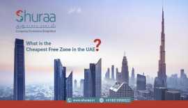 What is the Cheapest Free Zone in the UAE?, Delhi
