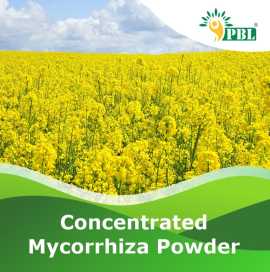 Unlocking Plant Prosperity: Mycorrhiza Fertilizer , ₹ 0