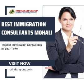 Best Immigration Consultants in Mohali, Mohali