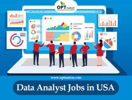 Are Data Analysts High In Demand in the US?, Reston