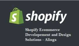 Elevate Your Presence with Shopify Web Design , Gold Coast
