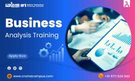 Business Analysis Course, Noida