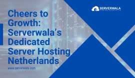 Cheers to Growth: Serverwala’s Dedicated Server Ho, Aldeboarn