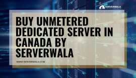 Buy Unmetered Dedicated Server in Canada By Server, Cardigan